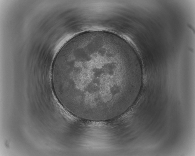 X0000101161183200807071150