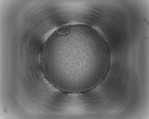 X0000101161185200807071150