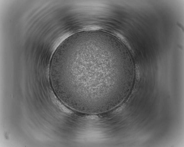 X0000101161186200807071150