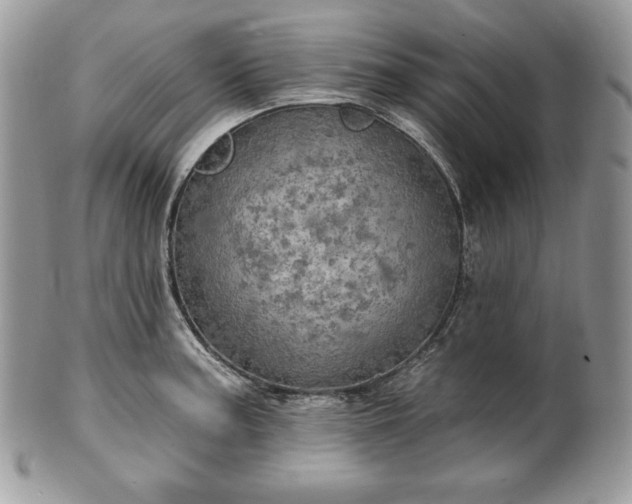 X0000101161187200807071150