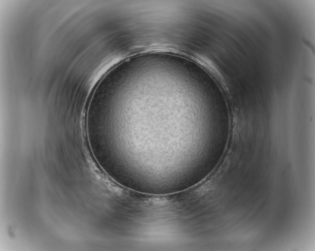 X0000101161190200807071150