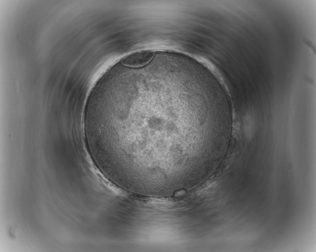 X0000101161191200807071150