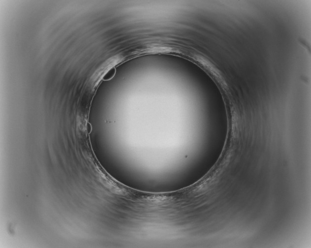 X0000101161193200807071150