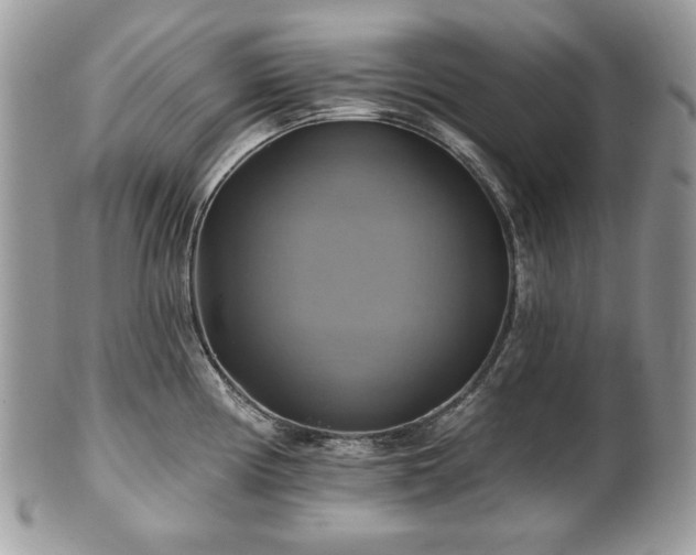 X0000101161194200807071150