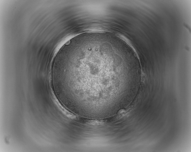 X0000101161195200807071150