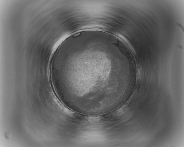 X0000101161196200807071150