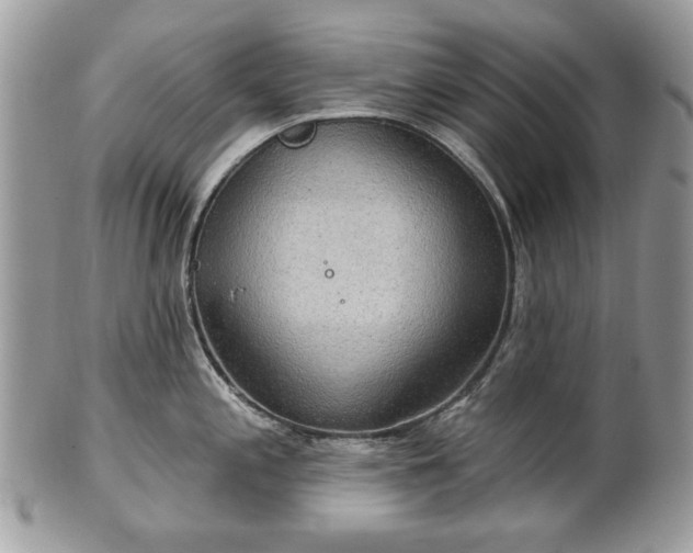 X0000101161197200807071150