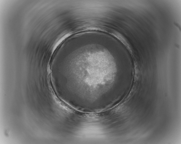 X0000101161198200807071150
