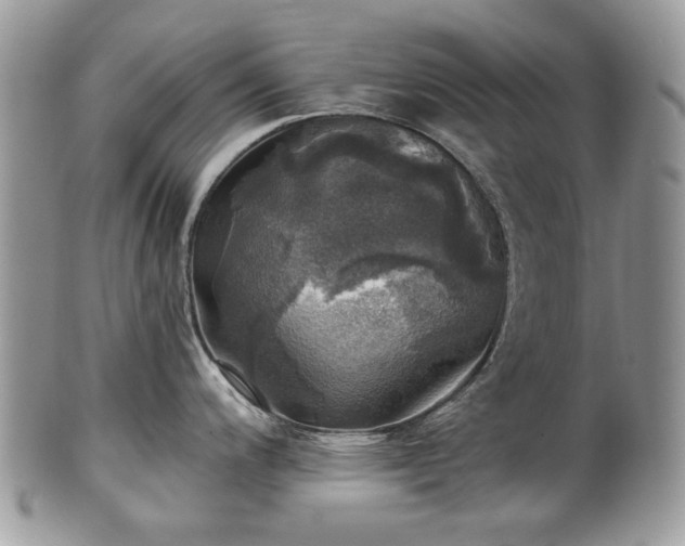 X0000101161200200807071150