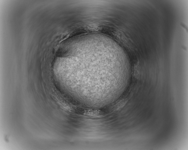 X0000101161201200807071149