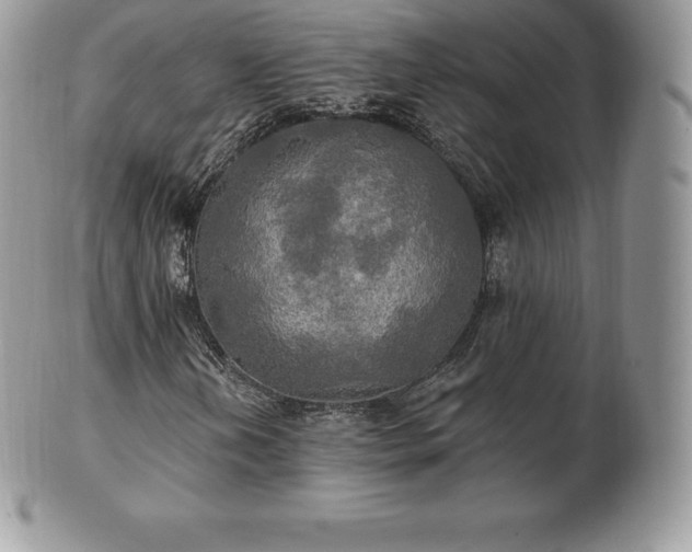 X0000101161202200807071149