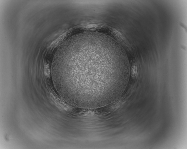 X0000101161204200807071149