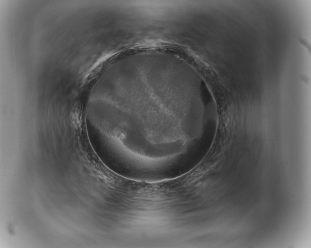 X0000101161206200807071149