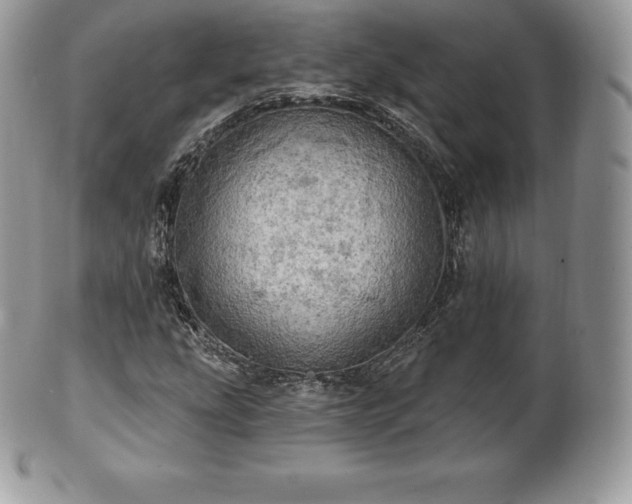 X0000101161207200807071149