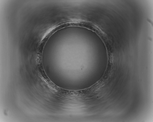 X0000101161208200807071149