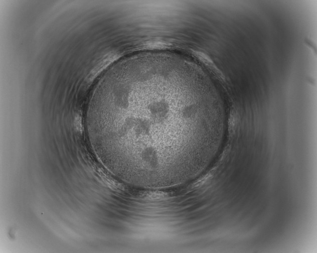 X0000101161209200807071149