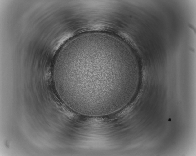 X0000101161210200807071150