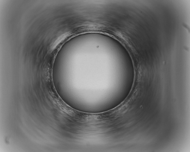 X0000101161211200807071150
