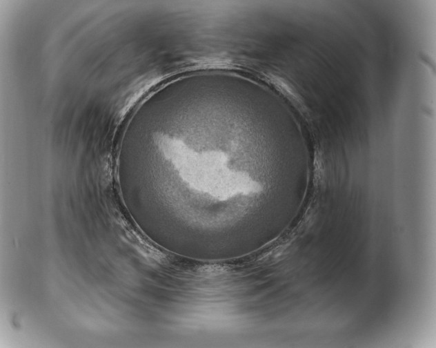 X0000101161212200807071150