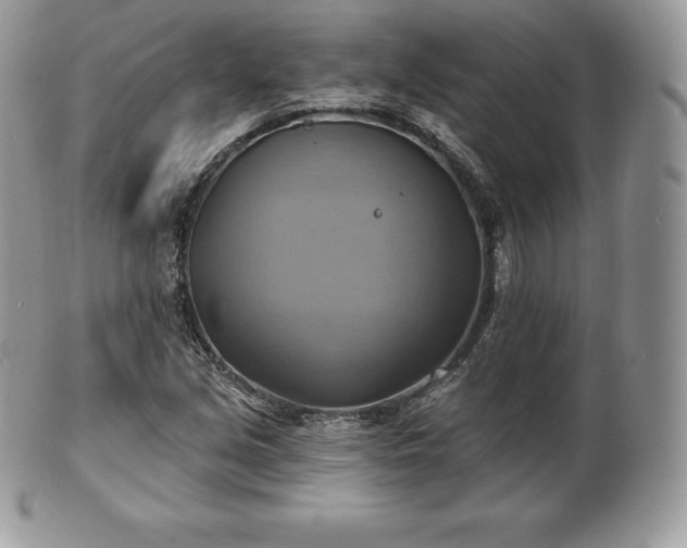 X0000101161213200807071150