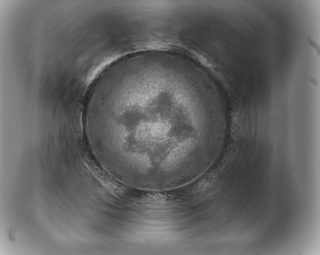X0000101161214200807071150