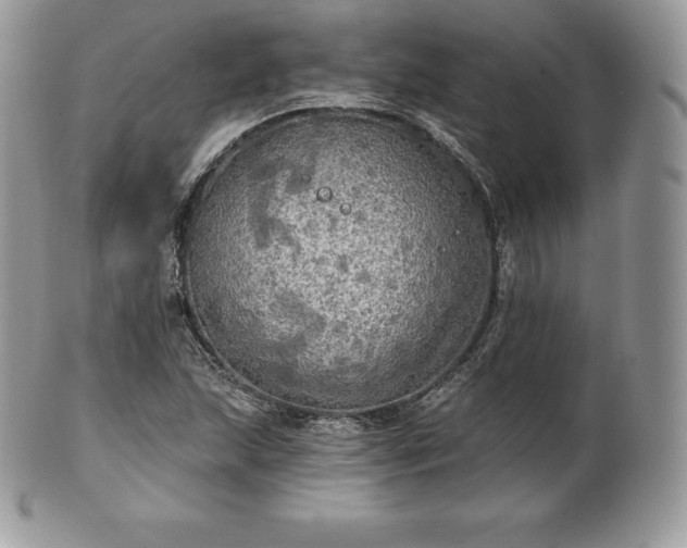 X0000101161215200807071150