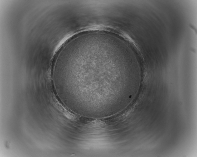 X0000101161216200807071150