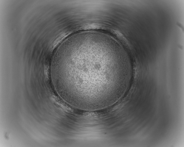 X0000101161217200807071150