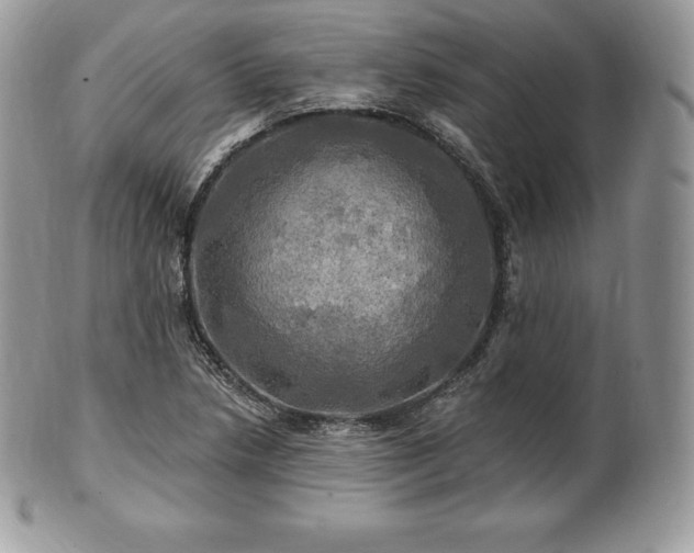 X0000101161218200807071150
