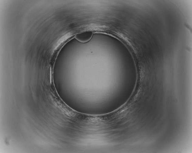 X0000101161219200807071150