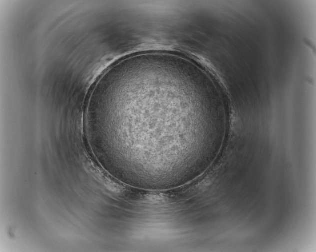 X0000101161220200807071150