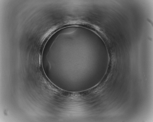 X0000101161221200807071150