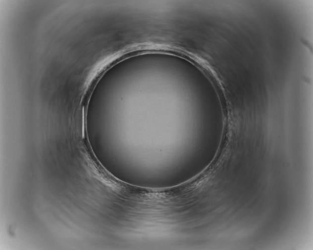 X0000101161223200807071150