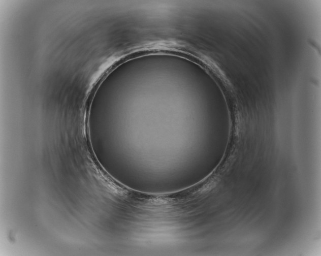X0000101161224200807071150