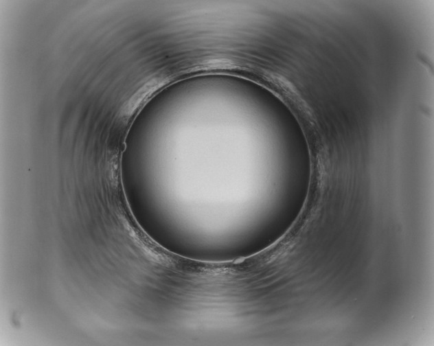 X0000101161225200807071150