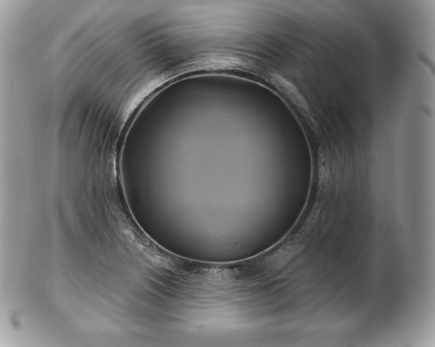 X0000101161226200807071150