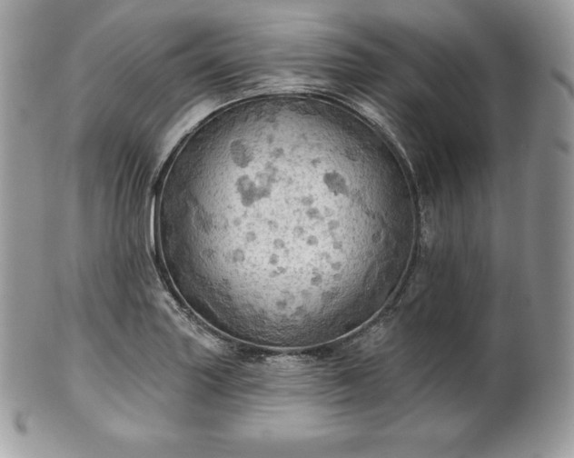 X0000101161227200807071150
