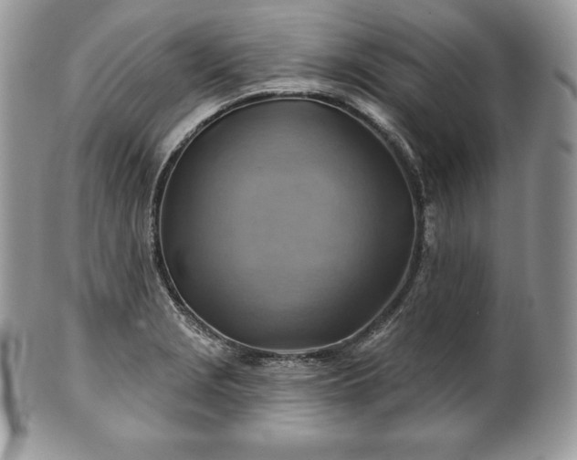 X0000101161229200807071150