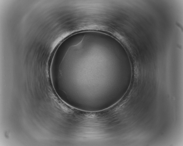 X0000101161230200807071150