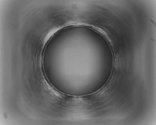 X0000101161231200807071150