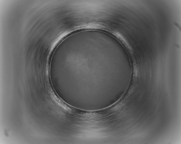 X0000101161232200807071150