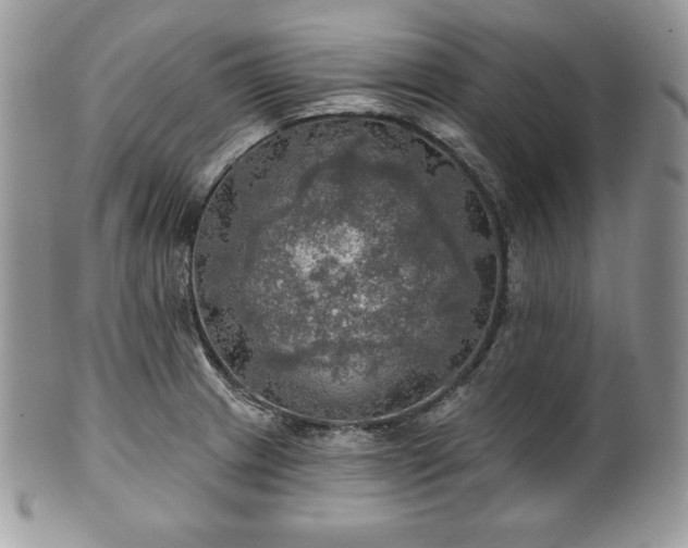 X0000101161233200807071150