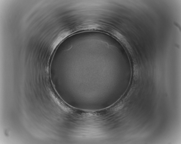 X0000101161234200807071150