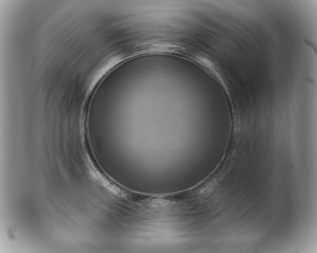 X0000101161235200807071150
