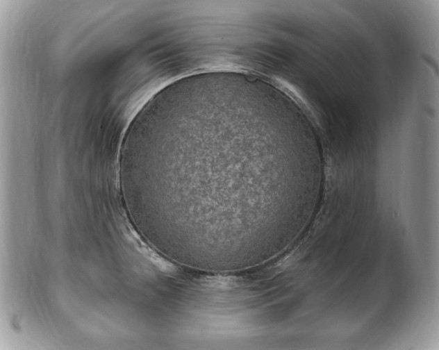 X0000101161236200807071150