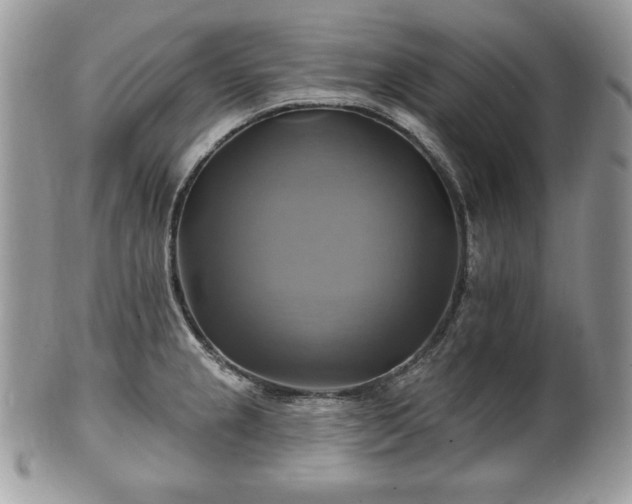 X0000101161237200807071150