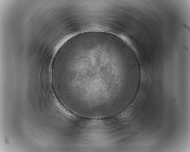 X0000101161238200807071150
