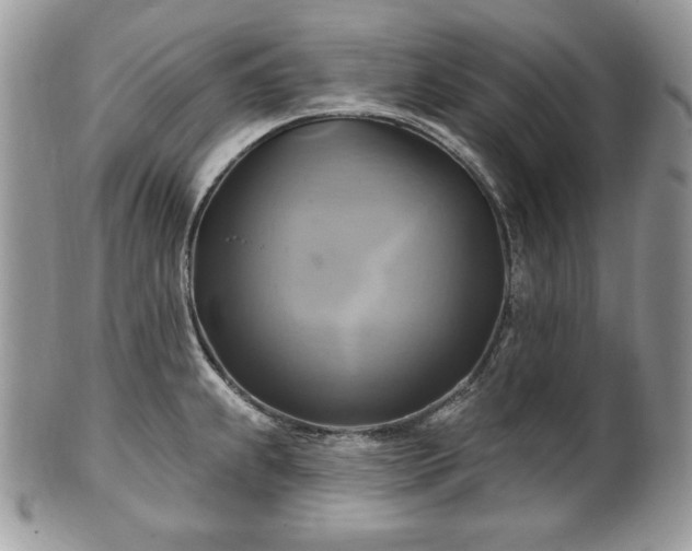 X0000101161239200807071150