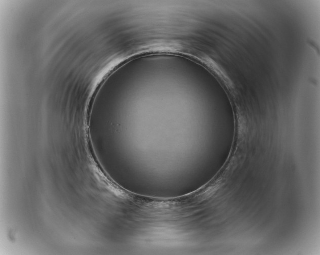 X0000101161240200807071150