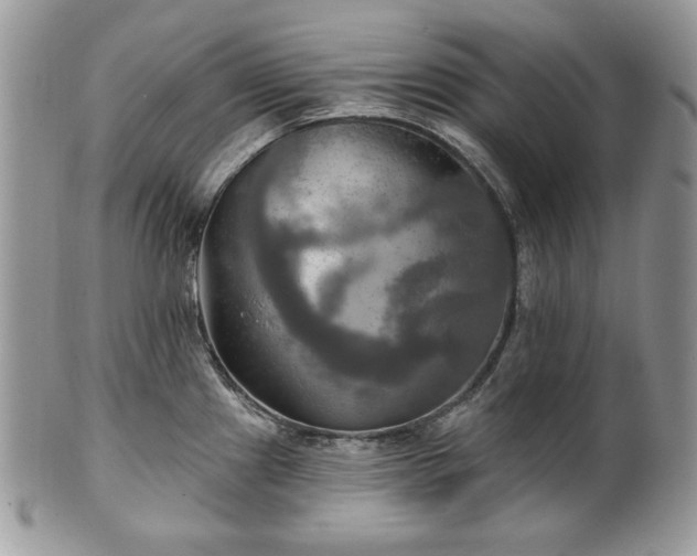X0000101161241200807071150